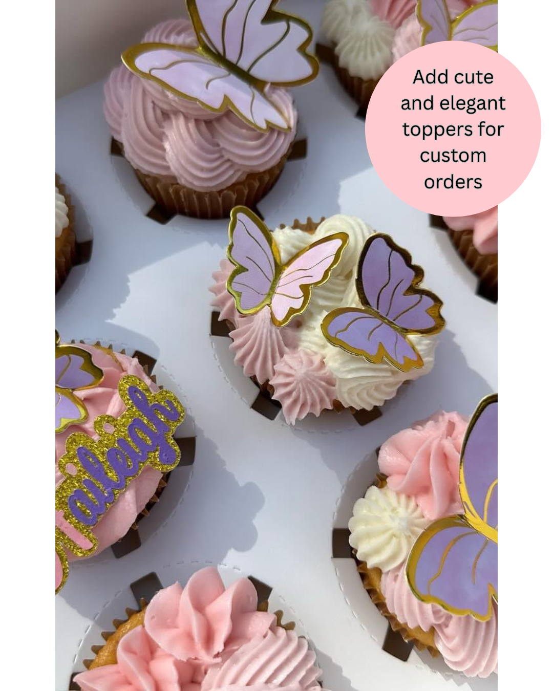 Sweet Kravings Plant-Based Frosting Recipe Bundle (Vanilla, Chocolate & Strawberry) | Shelf Stable For Cottage Bakers