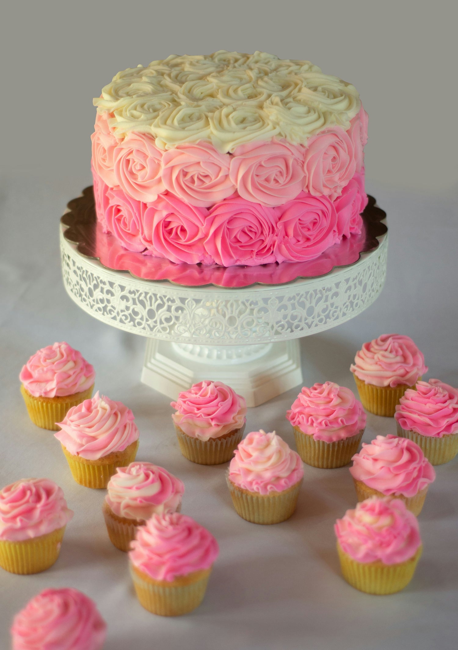 Shop Recipes & More!